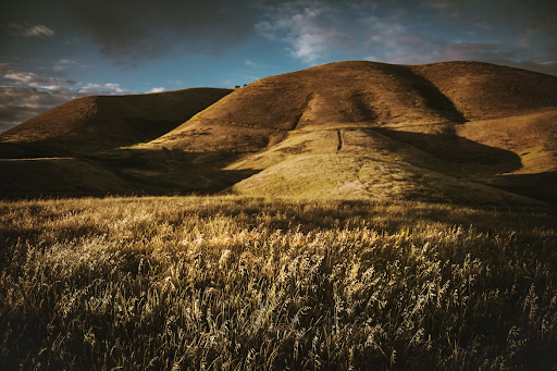 How to File a Statement of Information in Santa Maria